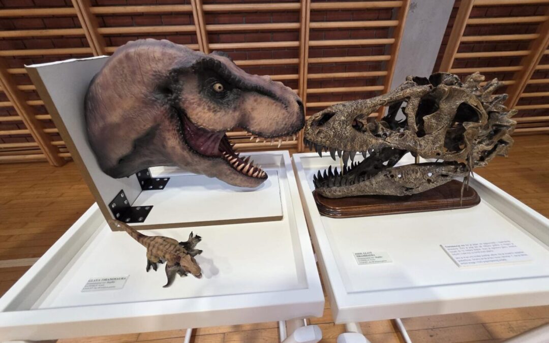 Ususret dinosaurima i megalodonima